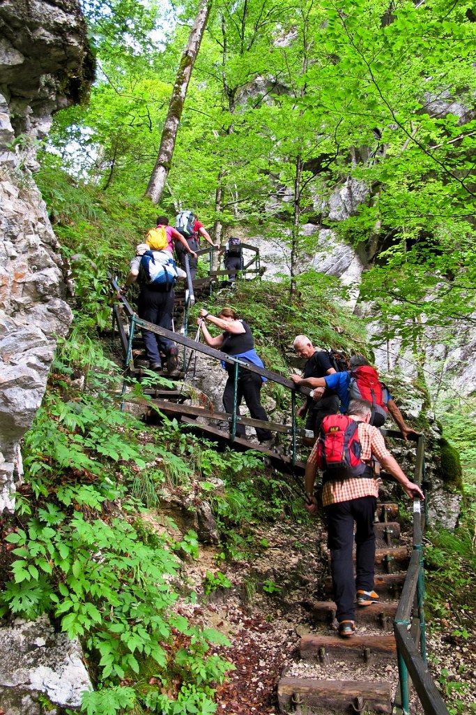 32 immer nach oben.jpg